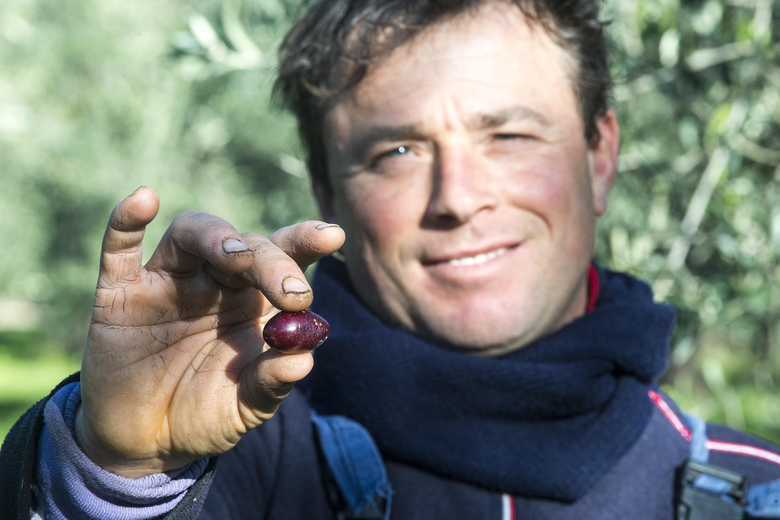 Olive growers by vocation